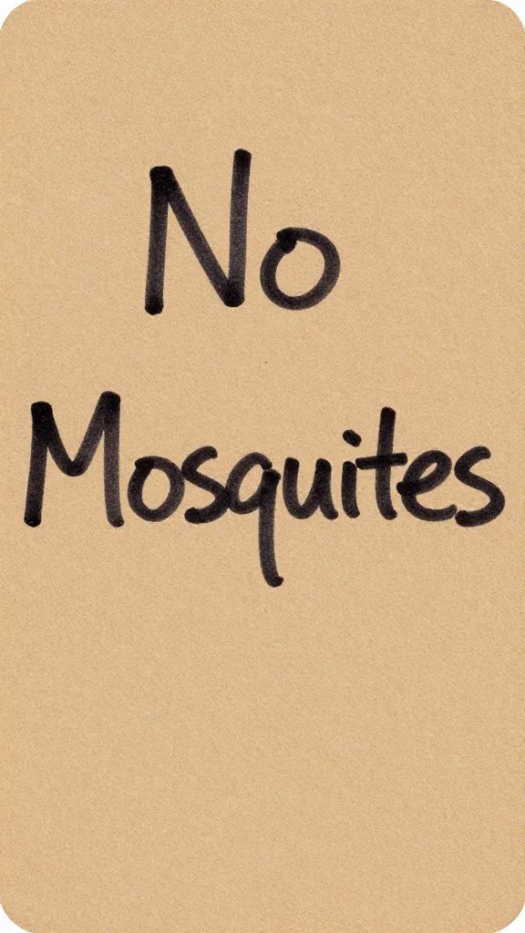 closeup of handwritten “No Mosquitoes” rule on kraft card