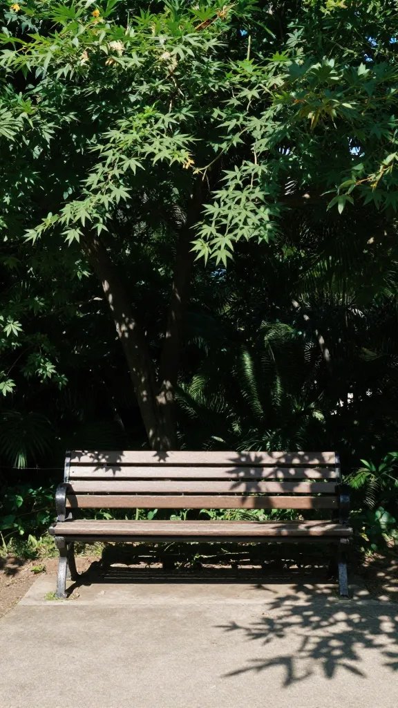 park bench under tree with dappled shade pattern