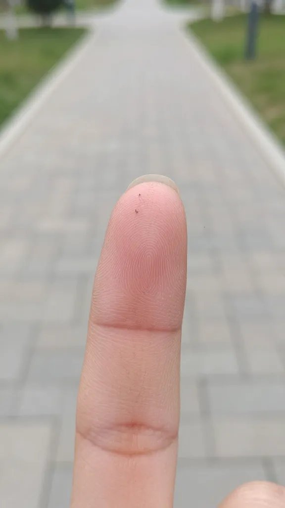 City park pathway dust on fingertip, macro shot