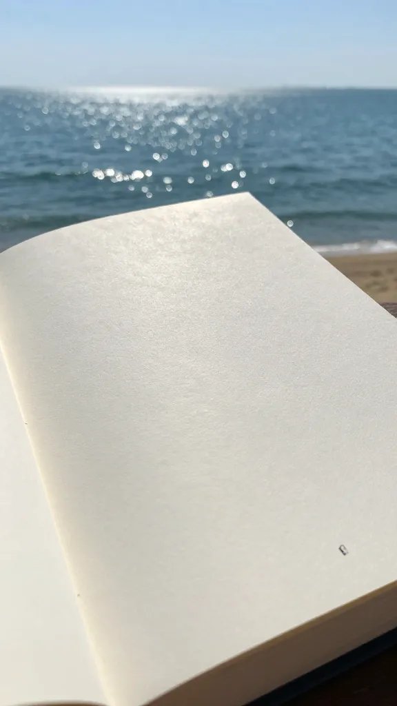 closeup of a lone oceanfront book with sun gleam on cover