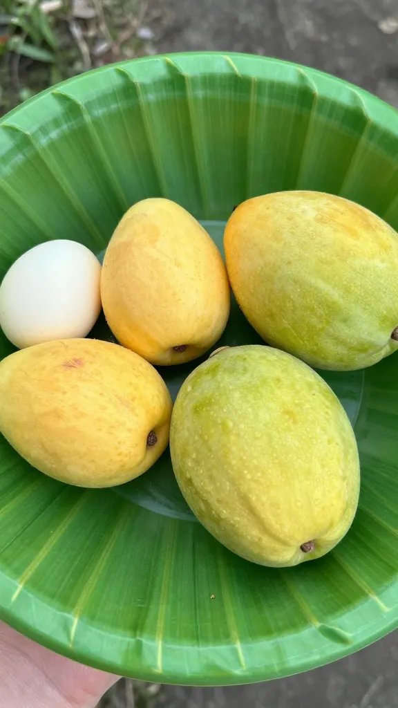 closeup of a reusable palm-leaf plate with fruit, outdoors