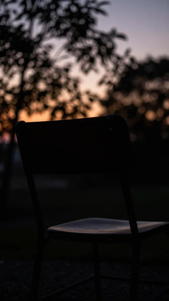 Closeup of a lone chair silhouette against twilight foliage
