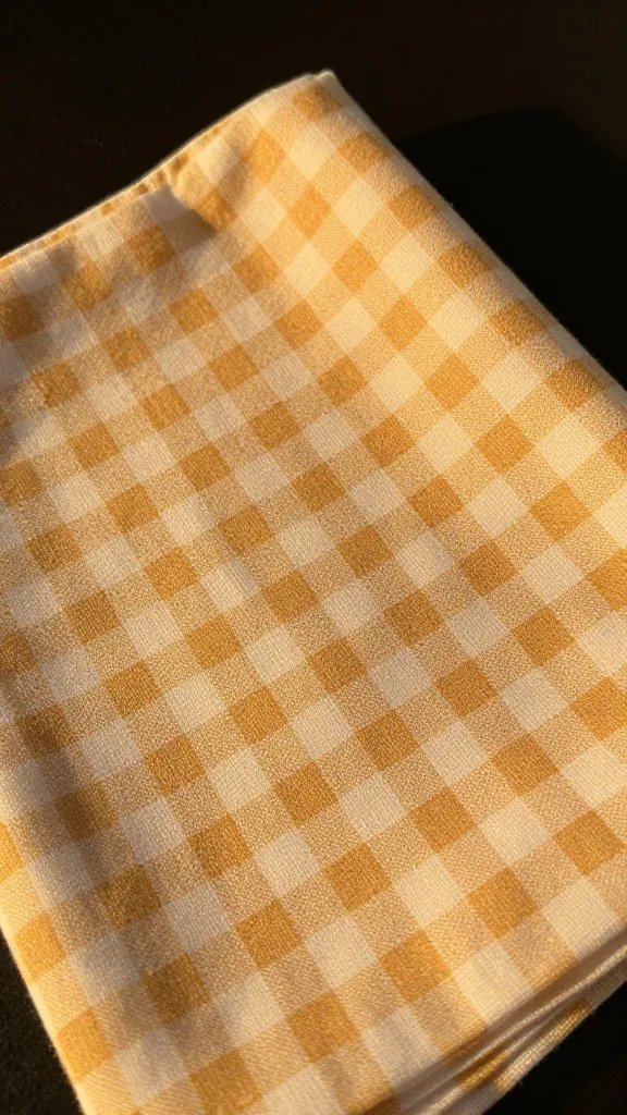 closeup of a single gingham napkin fold in golden hour light