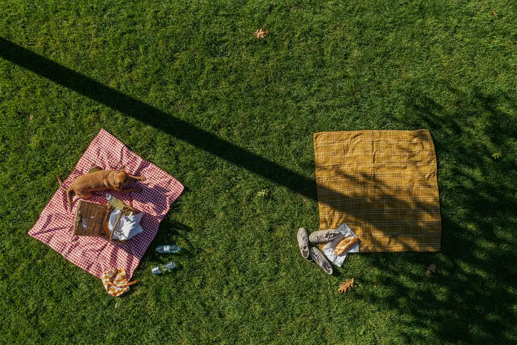 park-shade-share-shade-rotation.webp